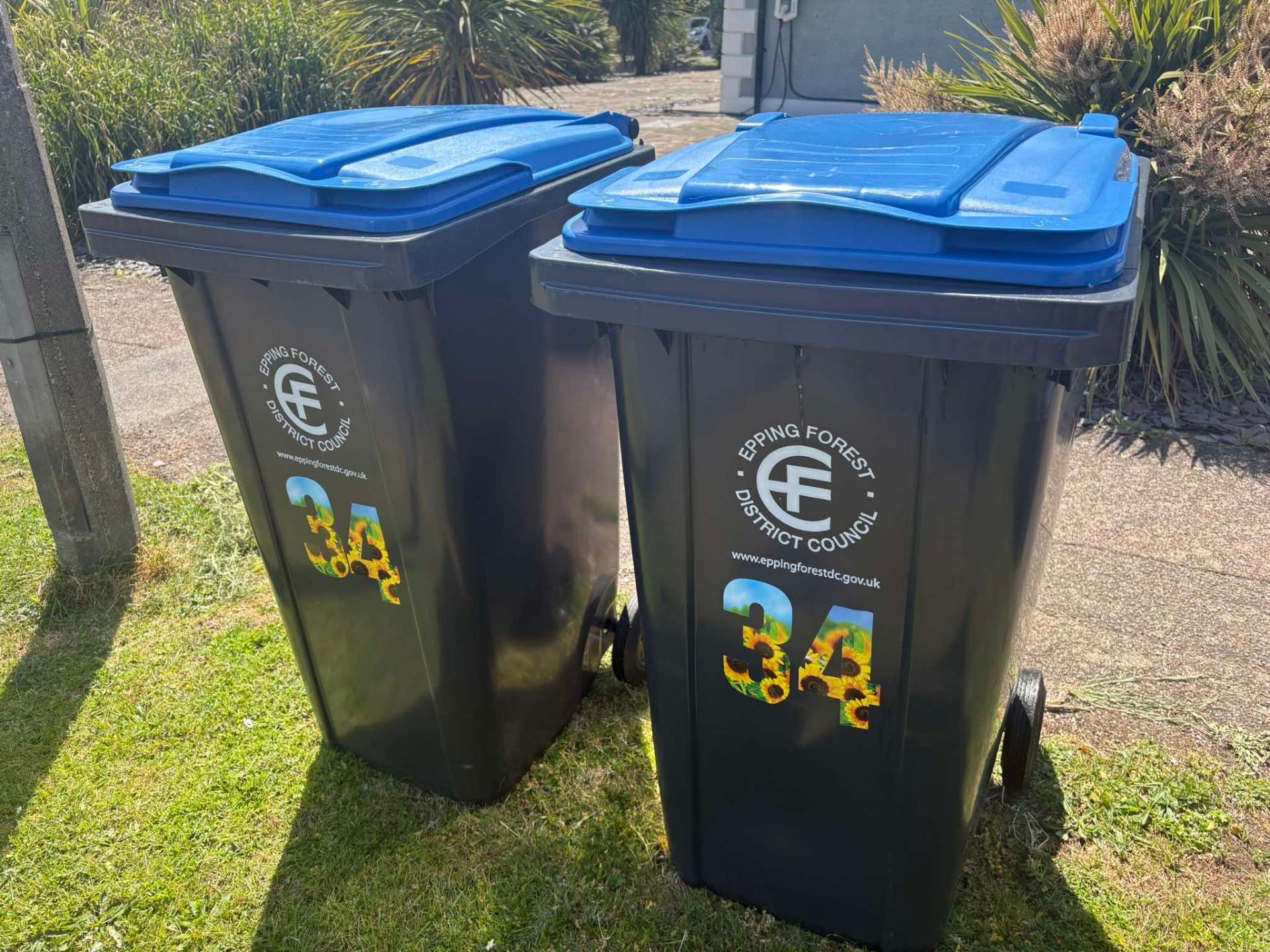 Freshly cleaned wheelie bins in Epping Forest